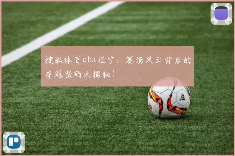 搜狐体育cba辽宁，赛场风云背后的夺冠密码大揭秘！