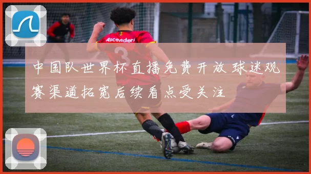 中国队世界杯直播免费开放 球迷观赛渠道拓宽后续看点受关注