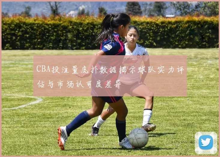 CBA投注量虎扑数据揭示球队实力评估与市场认可度差异