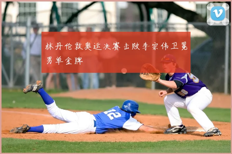 林丹伦敦奥运决赛击败李宗伟卫冕男单金牌