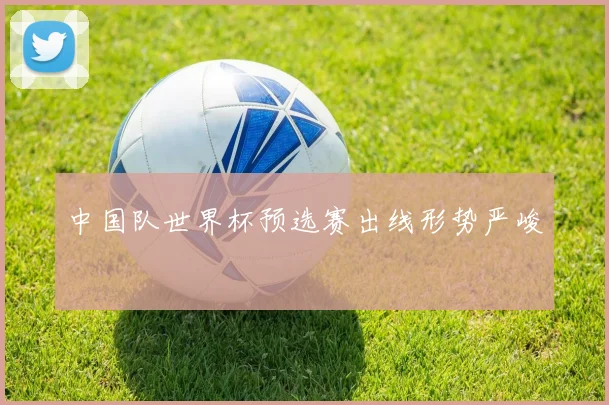 中国队世界杯预选赛出线形势严峻