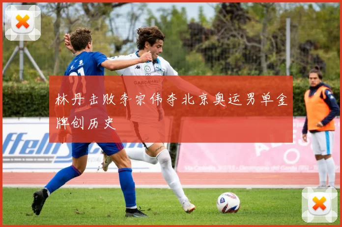 林丹击败李宗伟夺北京奥运男单金牌创历史