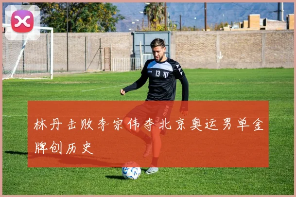 林丹击败李宗伟夺北京奥运男单金牌创历史